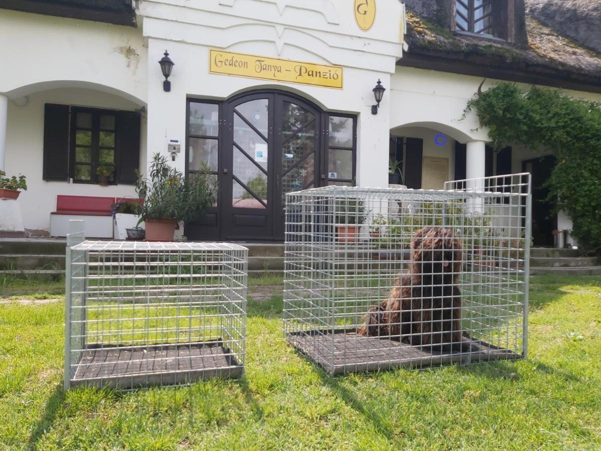 Gedeon Tanya Panzio Pensionat Jakabszállás Exteriör bild